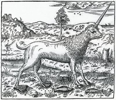 A Campchurch Unicorn, Illustration from 